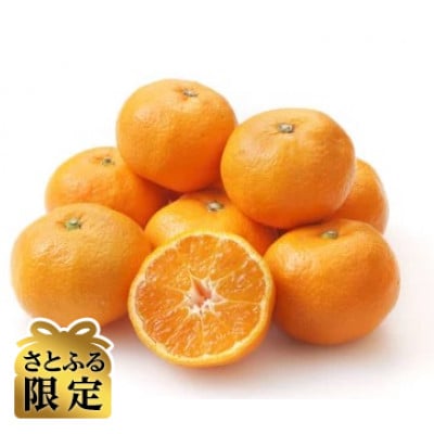 【さとふる限定】先行予約　大阪府和泉市産 宮川早生 和泉みかん 1ケース5Kg 11月中頃より発送