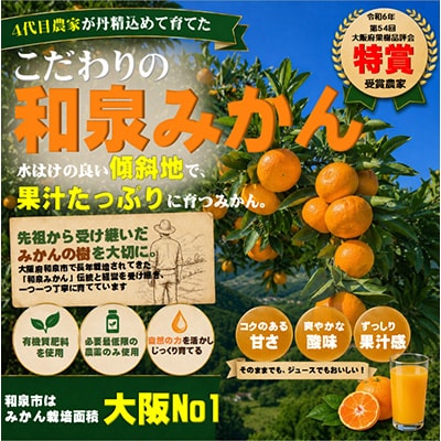 先行予約　大阪府和泉市産 宮川早生 和泉みかん 1ケース5Kg 11月中頃より発送