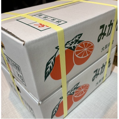 【さとふる限定】先行予約　大阪府和泉市産 宮川早生みかん5kg2ケース(1梱包) 11月中頃より発送