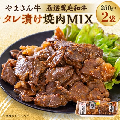 黒毛和牛やまさん牛　タレ漬け焼肉MIX250g×2