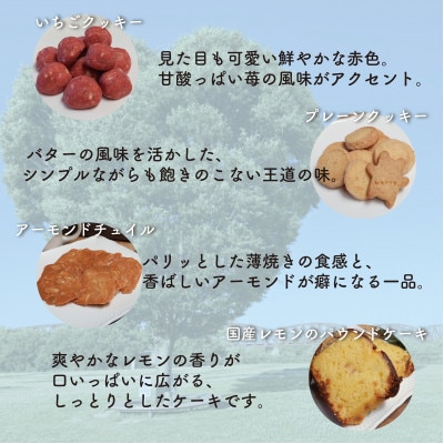 お菓子詰め合わせBセット　クッキー・パウンドケーキ・コーヒーセット　コーヒーカップ付　はつが野テラス