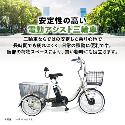 電動アシスト三輪車 前輪20型後輪16型TDR-163Lplus+ 1台