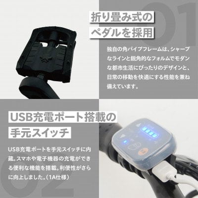 PELTECH X-Adventure　20型折り畳み外装6段変速ハイパワーモデル　マットブラック