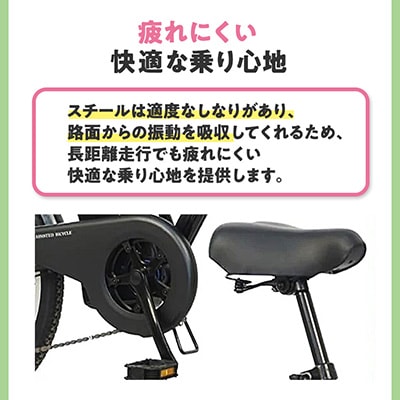 PELTECH 20インチ 折り畳み電動アシスト自転車 外装6段変速【簡易組立必要品】マットブラック