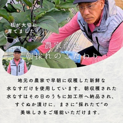 水なす 浅漬け 泉州特産 ぬか漬け 3個入り