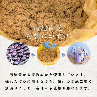 水なす 浅漬け 泉州特産 ぬか漬け 3個入り