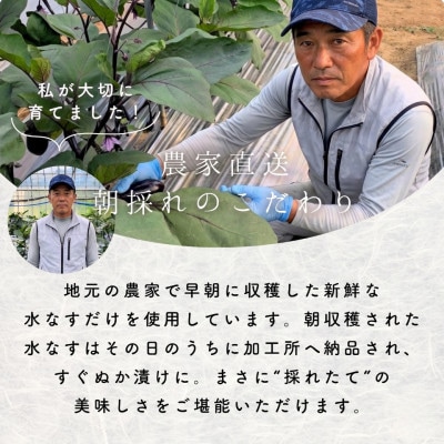 水なす 浅漬け 泉州特産 ぬか漬け 6個入り