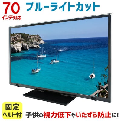 和泉市　70MBL5　70インチ用　テレビ画面保護パネル　ブルーライトカットタイプ  スペーサー付属