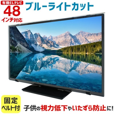有機ELテレビ48インチ用　テレビ画面保護パネル　ブルーライトカットタイプ　位置調整用スペーサー付