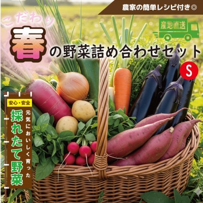 【こだわり春の野菜詰め合わせセット】Sサイズ 栽培期間中農薬・化学肥料・除草剤不使用の旬野菜