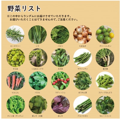【こだわり春の野菜詰め合わせセット】Sサイズ 栽培期間中農薬・化学肥料・除草剤不使用の旬野菜