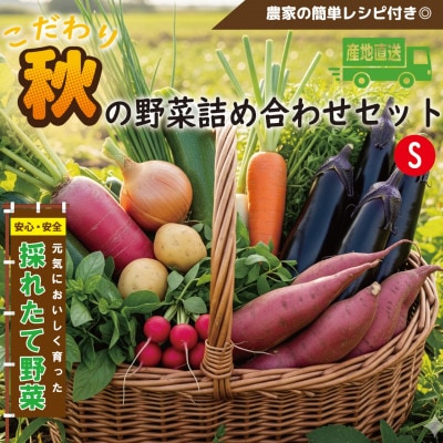 【こだわり秋の野菜詰め合わせセット】Sサイズ　栽培期間中農薬・化学肥料・除草剤不使用の旬野菜