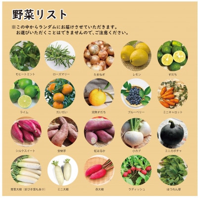 【こだわり秋の野菜詰め合わせセット】Sサイズ　栽培期間中農薬・化学肥料・除草剤不使用の旬野菜