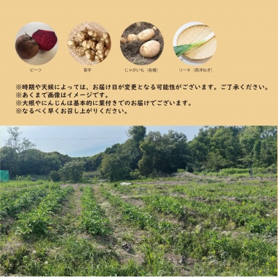 【こだわり秋の野菜詰め合わせセット】Sサイズ　栽培期間中農薬・化学肥料・除草剤不使用の旬野菜