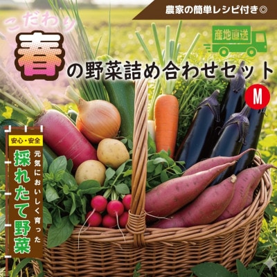 【こだわり春の野菜詰め合わせセット】Mサイズ　栽培期間中農薬・化学肥料・除草剤不使用の旬野菜