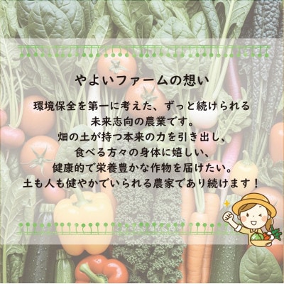 【こだわり春の野菜詰め合わせセット】Mサイズ　栽培期間中農薬・化学肥料・除草剤不使用の旬野菜