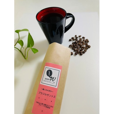 直火自家焙煎　ブラジルサントス(豆)
