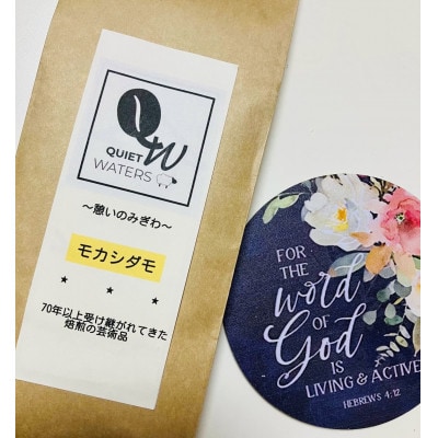 直火自家焙煎　モカシダモ100g(豆) x 3つ