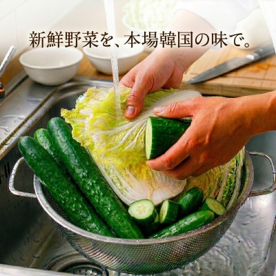 本場韓国の味!2種キムチ詰め合わせ(白菜・きゅうり)各2パック　国産野菜使用!無添加