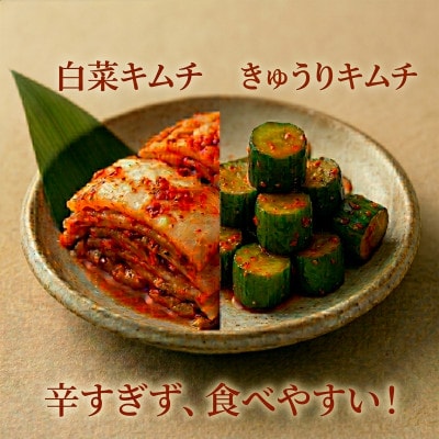 本場韓国の味!2種のキムチ詰め合わせ(白菜・きゅうり)各1パック　国産野菜使用!無添加