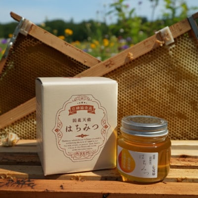 大阪府和泉市　国産天然はちみつ(180g×3)　日蜂協会員　無添加　自家採蜜　大植養蜂園