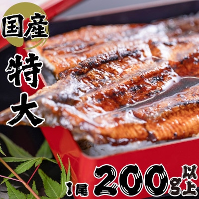 絶品!!国産うなぎ蒲焼き　特大サイズ(約200g)
