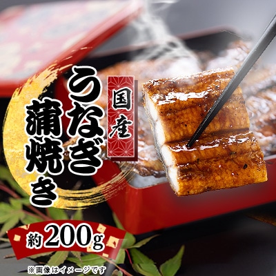 絶品!!国産うなぎ蒲焼き　特大サイズ(約200g)
