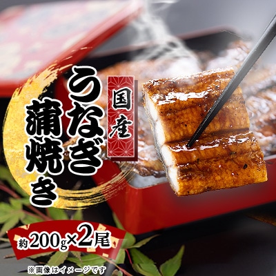 絶品!!国産うなぎ蒲焼き　特大サイズ(2尾×約200g)