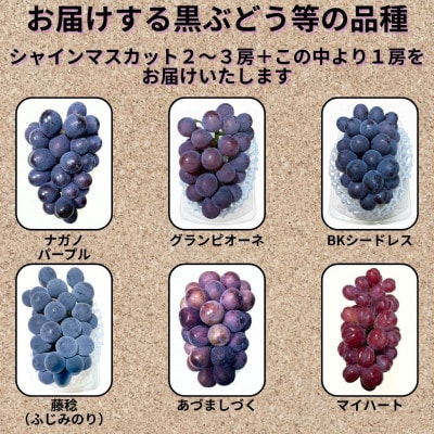 【先行受付】大粒ぶどう3～4房　合計1.8Kg以上(シャインマスカット2～3房+黒ぶどう1房)