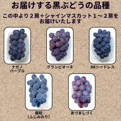 【先行受付】大粒ぶどう3～4房　合計1.8Kg以上(黒ぶどう2房+シャインマスカット1～2房)