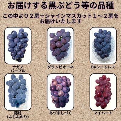 【先行受付】大粒ぶどう3～4房　合計1.8Kg以上(黒ぶどう2房+シャインマスカット1～2房)