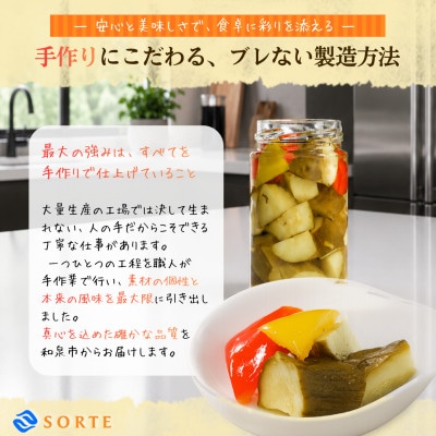 ご飯のお供や箸休めに!利尻昆布の極上ダシと赤穂の塩が野菜の旨みを引き出す、美菜ピクルス(和風)3本
