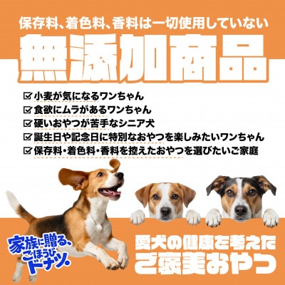 犬のおやつ 国産 DOGNUTS ドーナツセット 6種 詰め合わせ