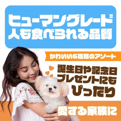 犬のおやつ 国産 DOGNUTS ドーナツセット 6種 詰め合わせ