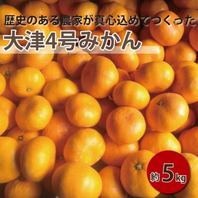 【2027年1月順次発送!】100年以上続くみかん農家がつくる「みかん(大津4号)」約5kg