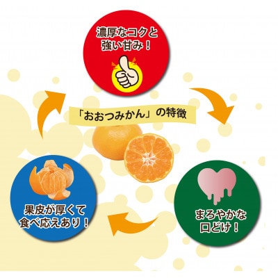 【2027年1月順次発送!】100年以上続くみかん農家がつくる「みかん(大津4号)」約5kg