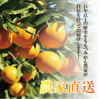 【2027年1月順次発送!】100年以上続くみかん農家がつくる「みかん(大津4号)」約5kg