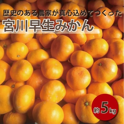 【2027年1月順次発送!】100年以上続くみかん農家がつくる「みかん(宮川早生)」約5kg
