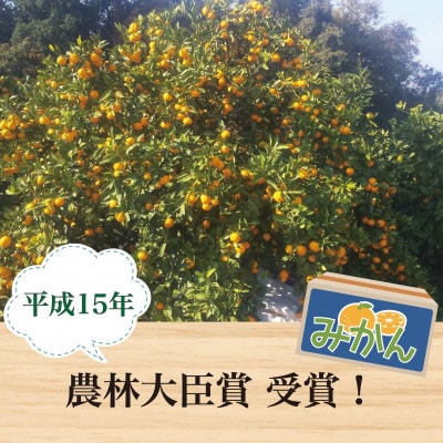 【2027年1月順次発送!】100年以上続くみかん農家がつくる「みかん(宮川早生)」約5kg