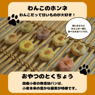 わんことシェアできる無添加パン!国産小麦の豊かな風味を味わう8種セット【CORE BIRTH】各2個