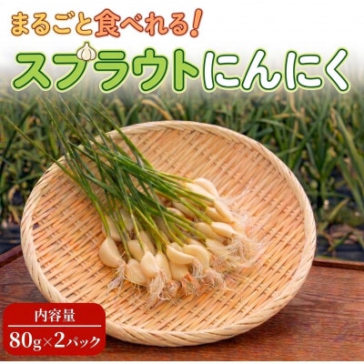 【9月中旬以降順次発送!】まるごと!スプラウトにんにく(80g×2パック)　栄養満点スーパーフード