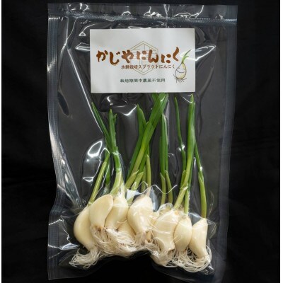 【9月中旬から4月中旬の発送】まるごと!スプラウトにんにく(80g×3パック)栄養満点スーパーフード