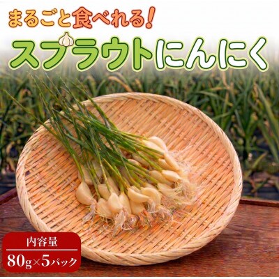 【9月中旬から4月中旬の発送】まるごと!スプラウトにんにく(80g×5パック)栄養満点スーパーフード