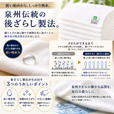泉州タオル 推し活カラー フェイスタオル5色セット