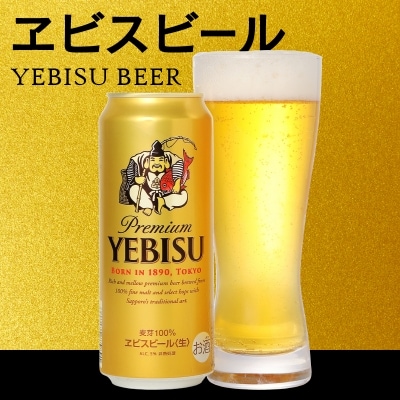 11/18から値下げ【定期便8回】エビスビール500ml×1箱(24缶)(T0023-2208)