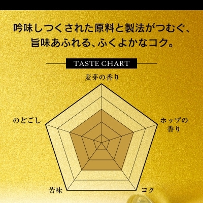 11/18から値下げ【定期便8回】エビスビール500ml×1箱(24缶)(T0023-2208)