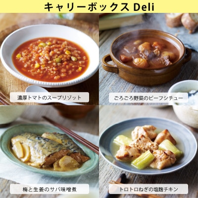 イザメシ キャリーボックスDeli(8品、紙皿&スプーン付)　1セット