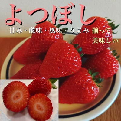 1粒約35g!　よつぼし　いちご　約300g×2パック