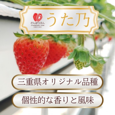 三重県オリジナル品種!「うた乃」200g×4パック