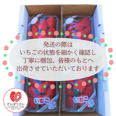 三重県オリジナル品種!「うた乃」200g×4パック